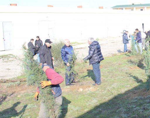 AMEA Yüksək Texnologiyalar Parkında ağacəkmə kompaniyası keçirilib